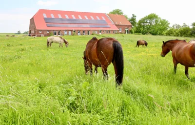 Sömmerland, Exklusive 4-Sterne-FeWo von 2024, Sonnenterrasse, 150 m zur Nordsee, eigener Zugang