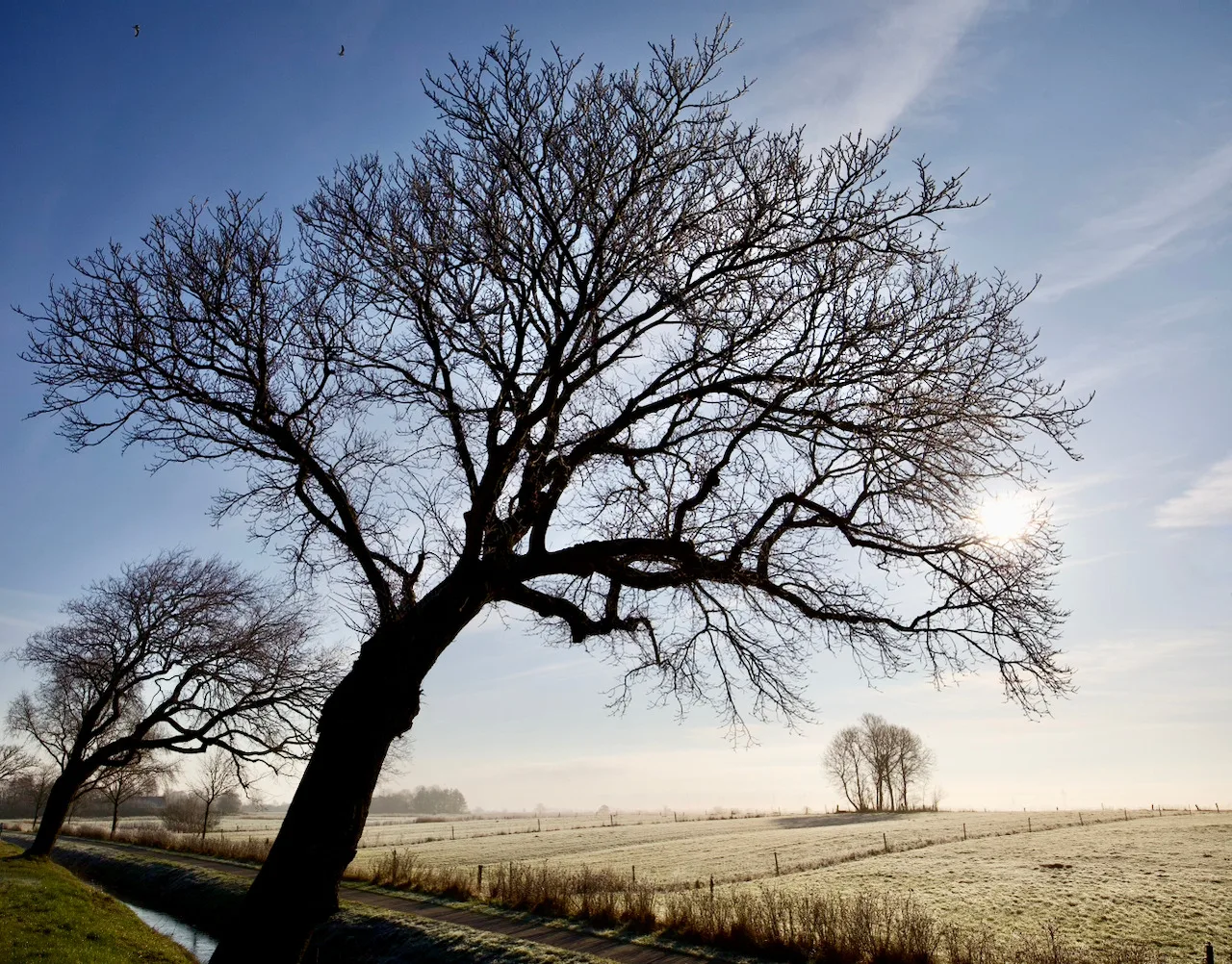 Sömmerland, Exklusive 4-Sterne-FeWo von 2024, Sonnenterrasse, 150 m zur Nordsee, eigener Zugang