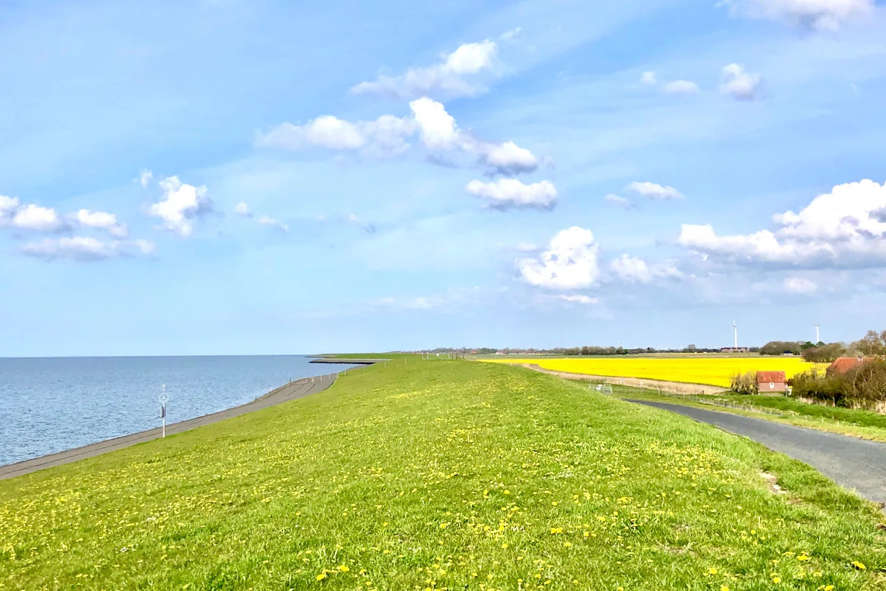 Sömmerland, Exklusive 4-Sterne-FeWo von 2024, Sonnenterrasse, 150 m zur Nordsee, eigener Zugang