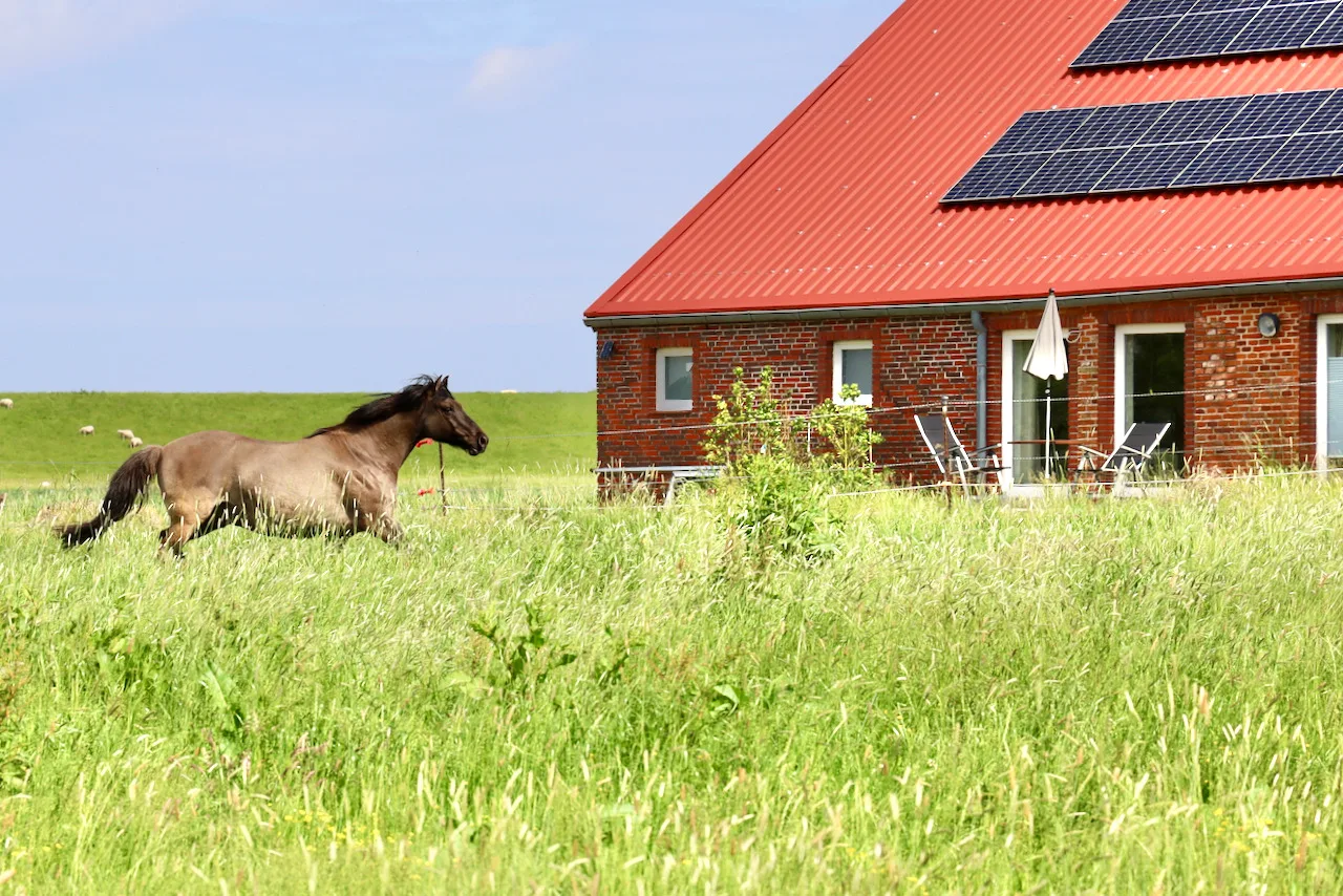 Sömmerland, Exklusive 4-Sterne-FeWo von 2024, Sonnenterrasse, 150 m zur Nordsee, eigener Zugang
