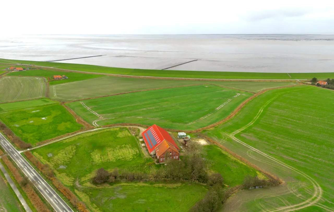 Sömmerland, Exklusive 4-Sterne-FeWo von 2024, Sonnenterrasse, 150 m zur Nordsee, eigener Zugang