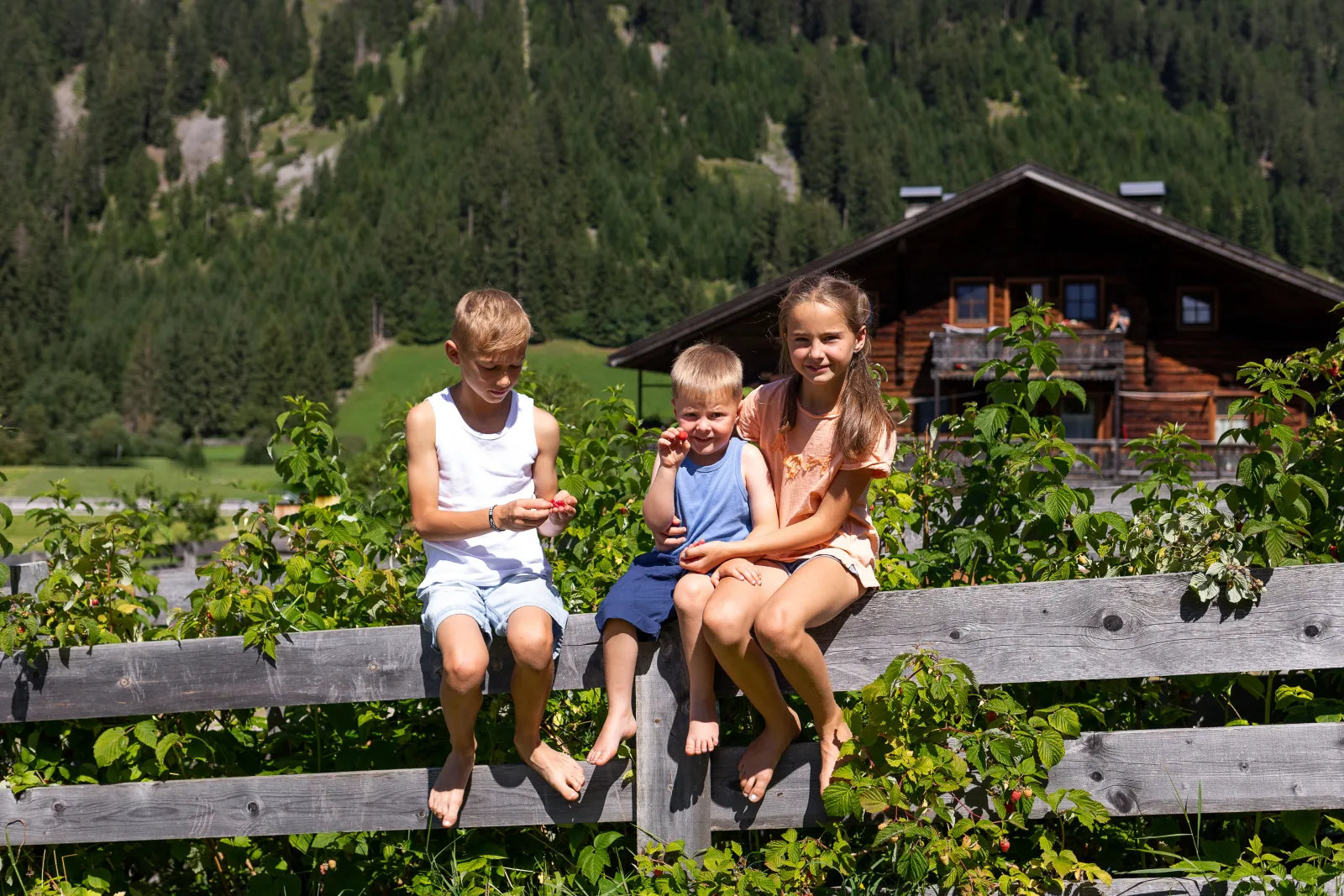 Familienurlaub am Bauernhof mit Tieren, Natur & Frühstück , Dolomit