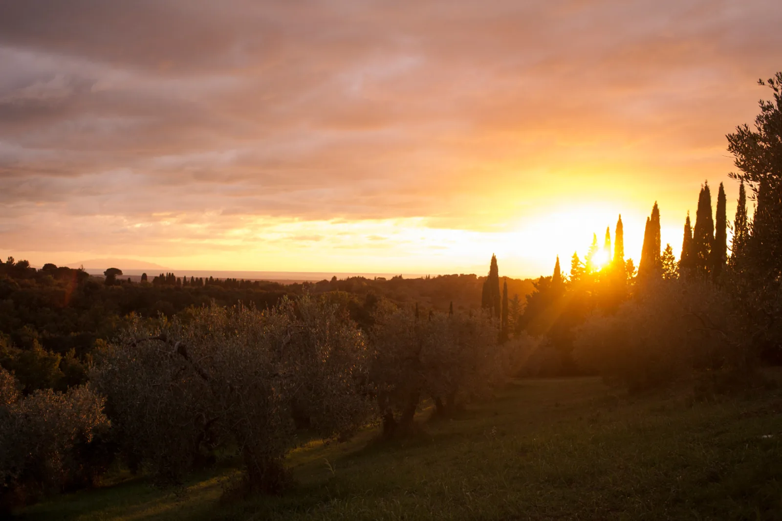 Podere Mulino Vecchio