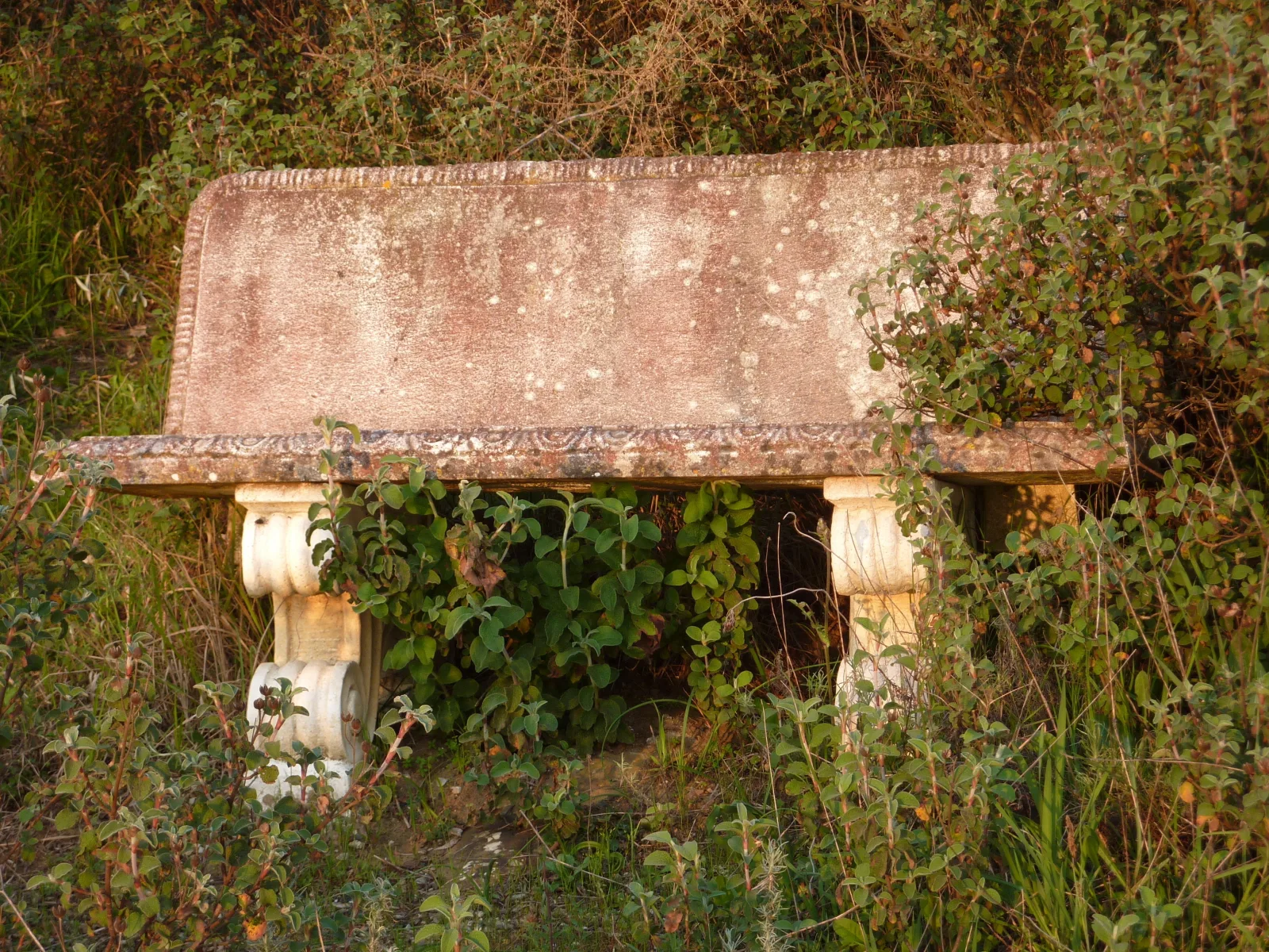 Podere Mulino Vecchio