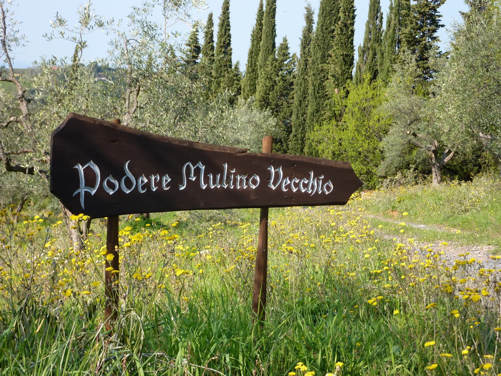 Podere Mulino Vecchio