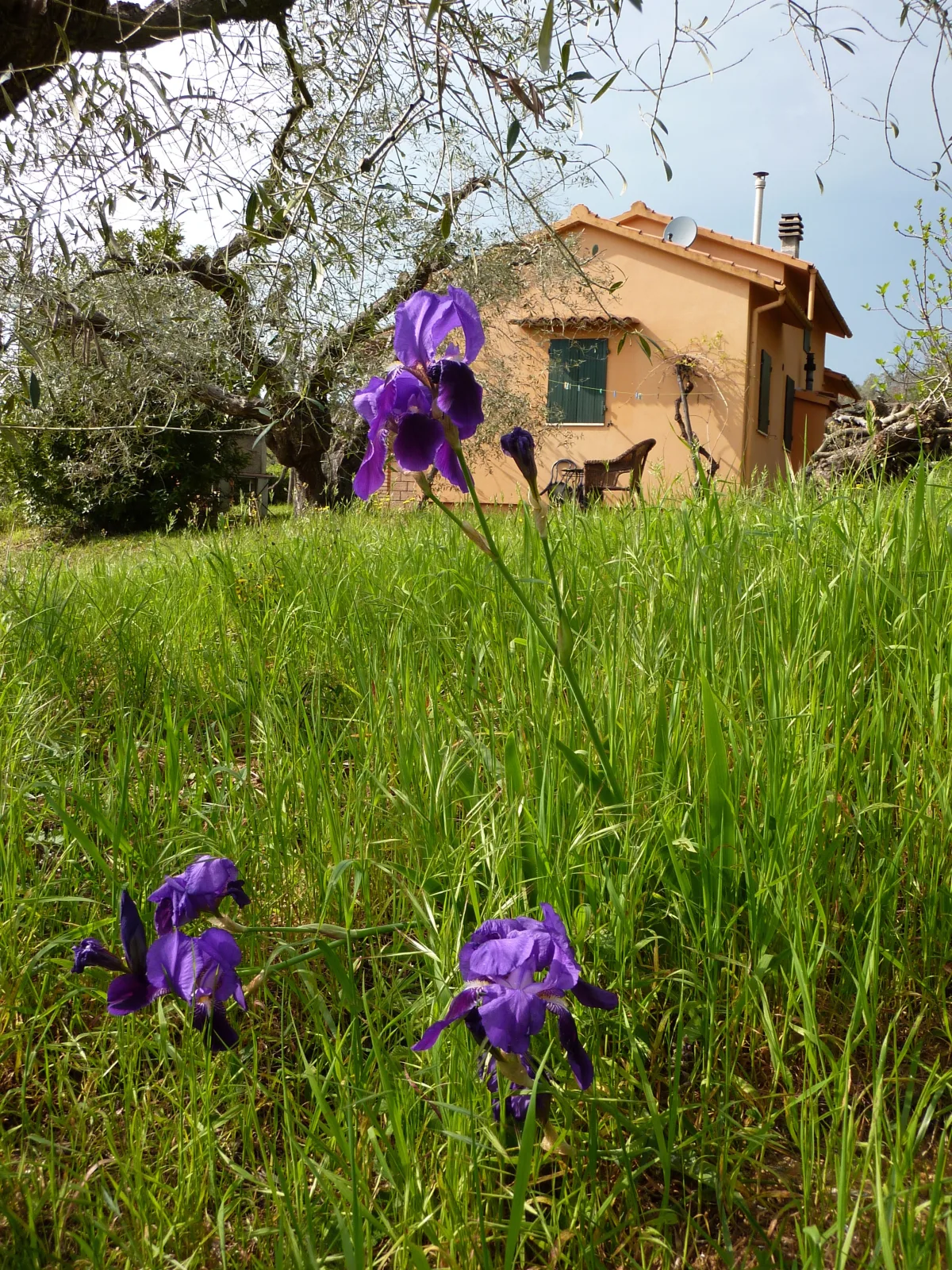 Podere Mulino Vecchio