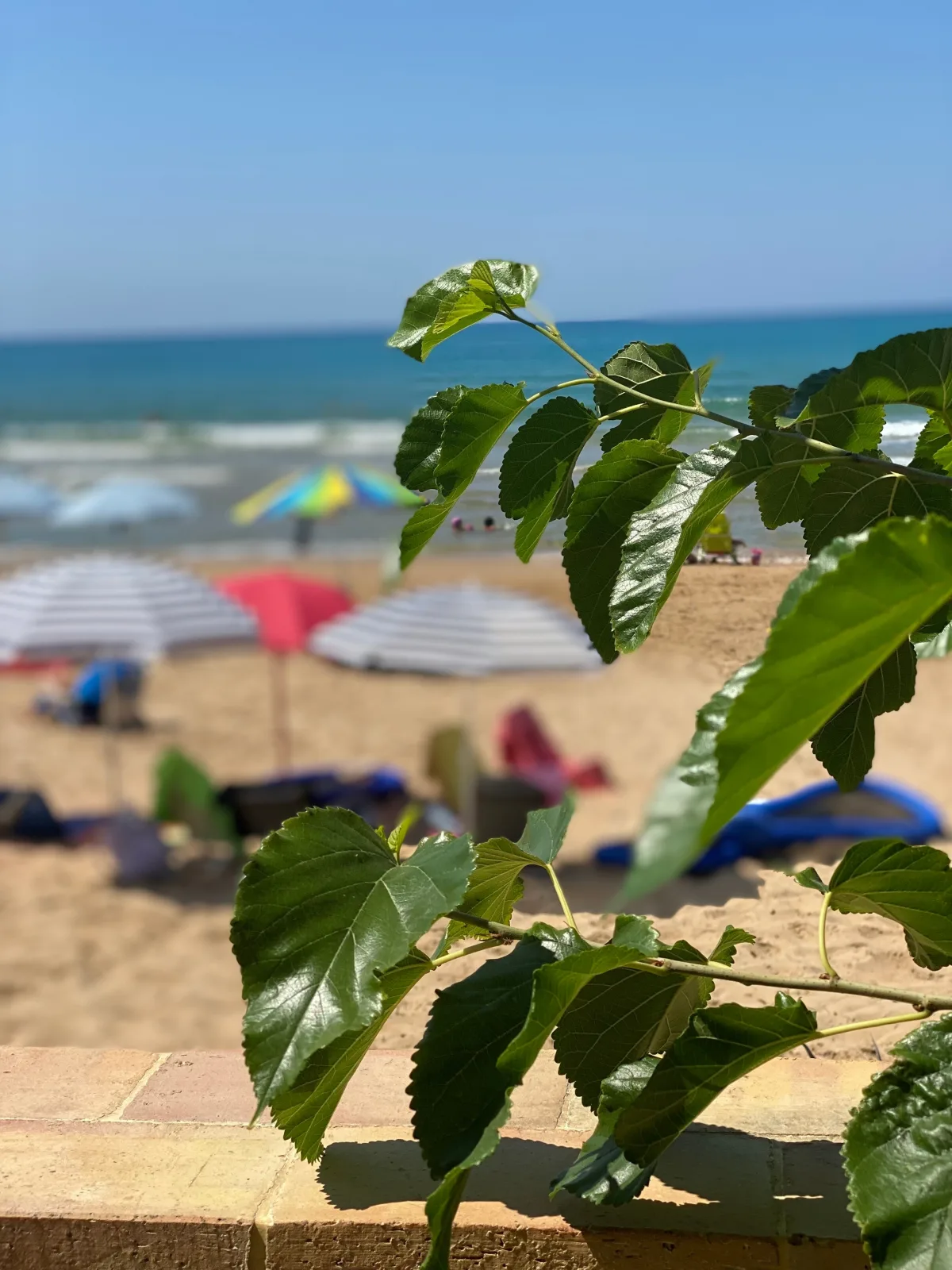 Casa Sunshine 2.0 - Vacanze al mare
