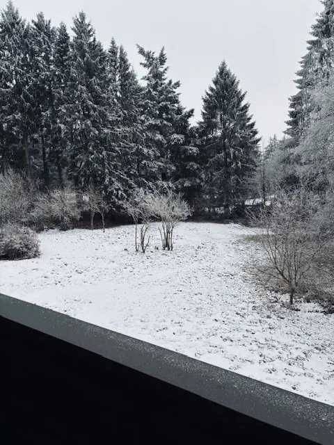 Ferienwohnung am Waldseebad