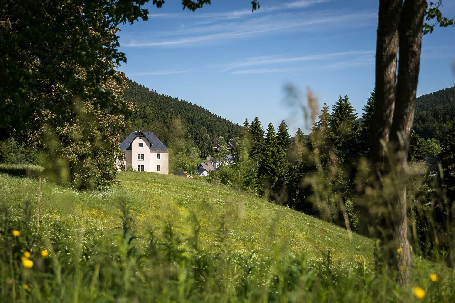 Försterei Eibenstock - App Luise