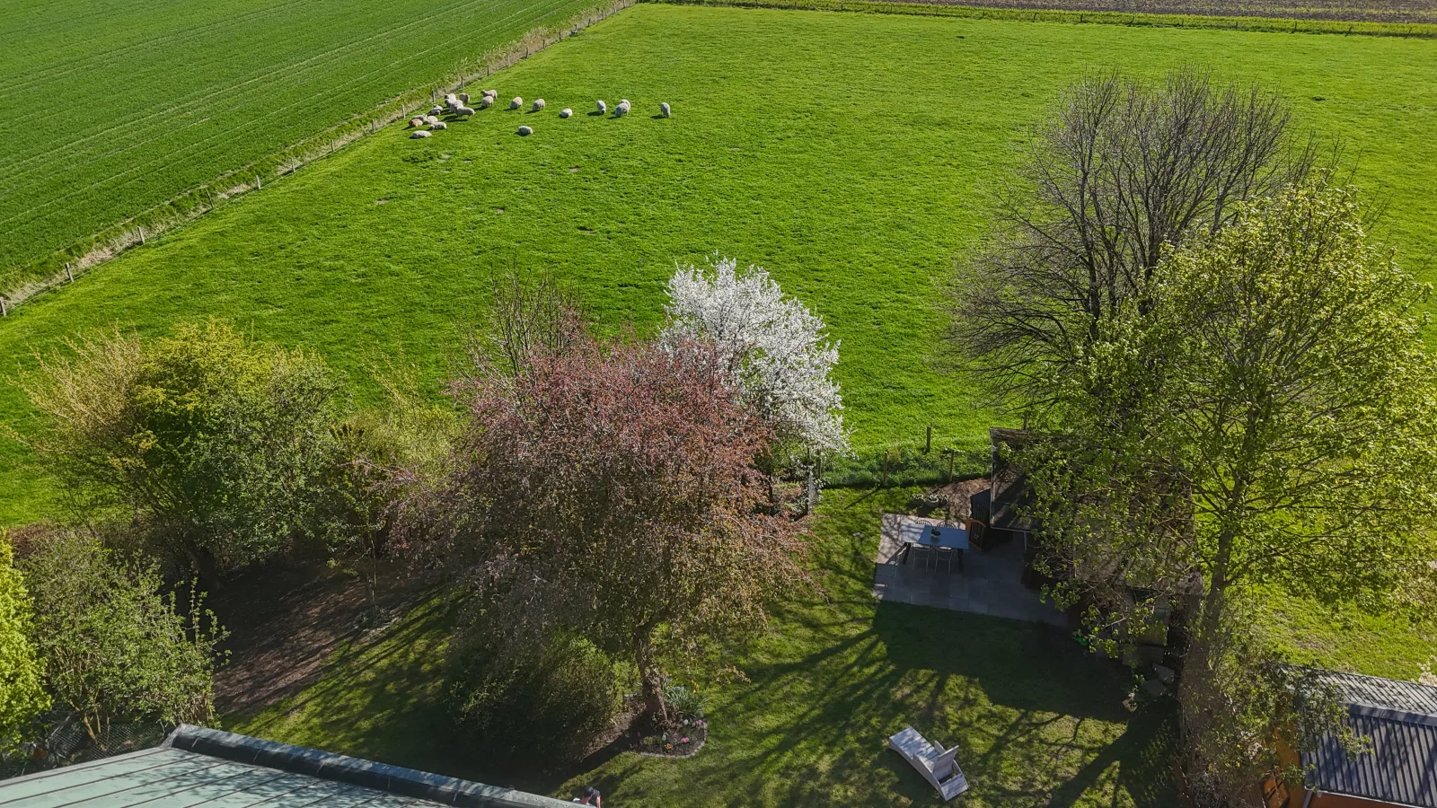 Ferienwohnung Frieda
