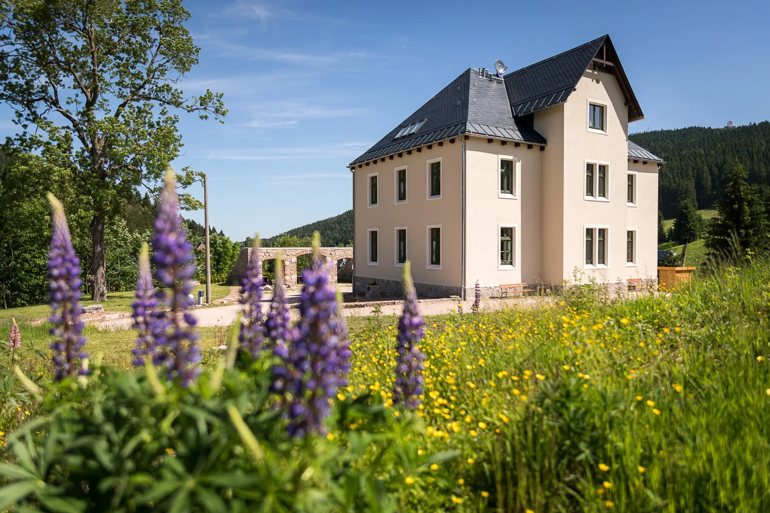 Försterei Eibenstock - App Förster