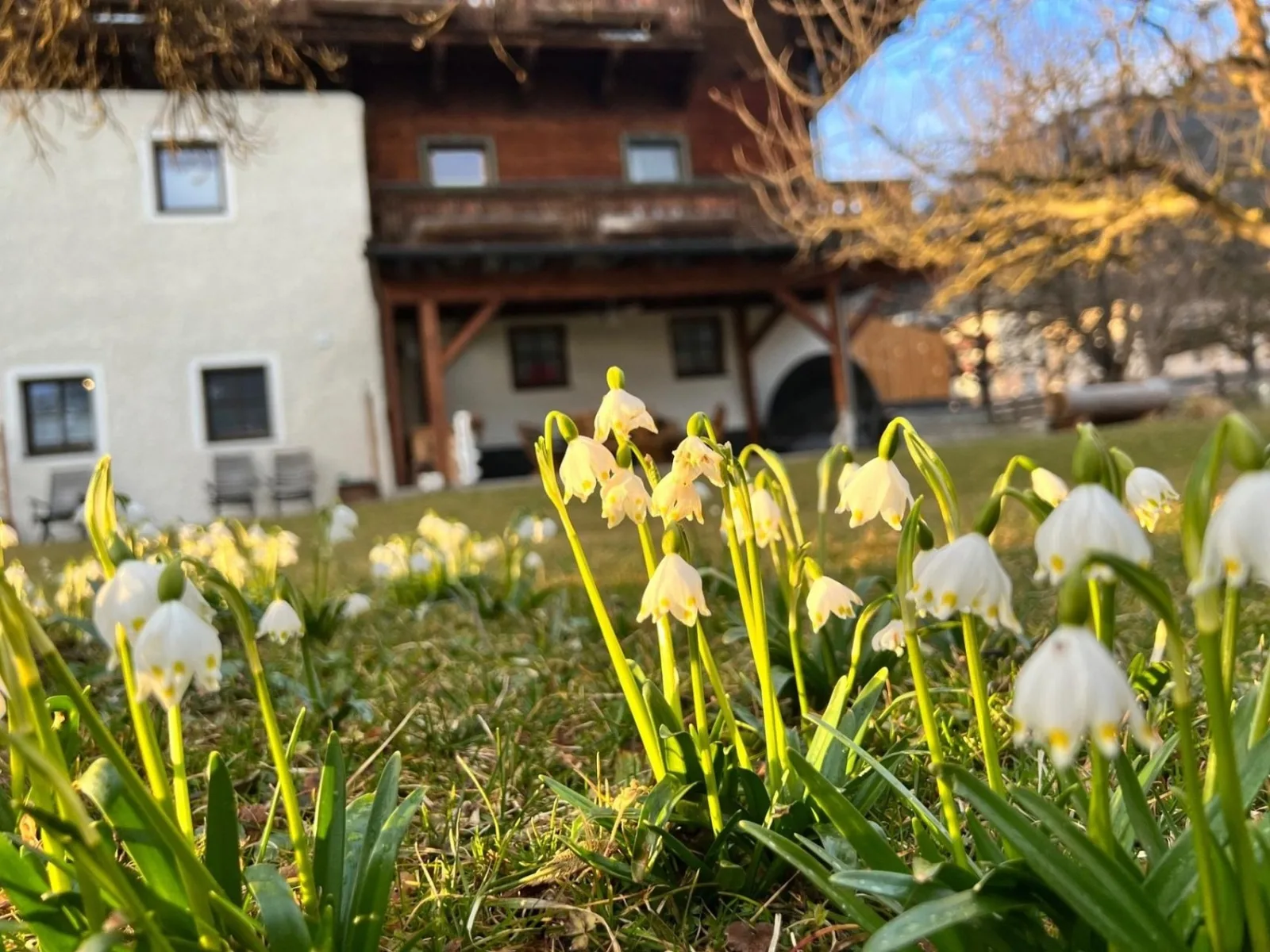 Apartment Abendrot