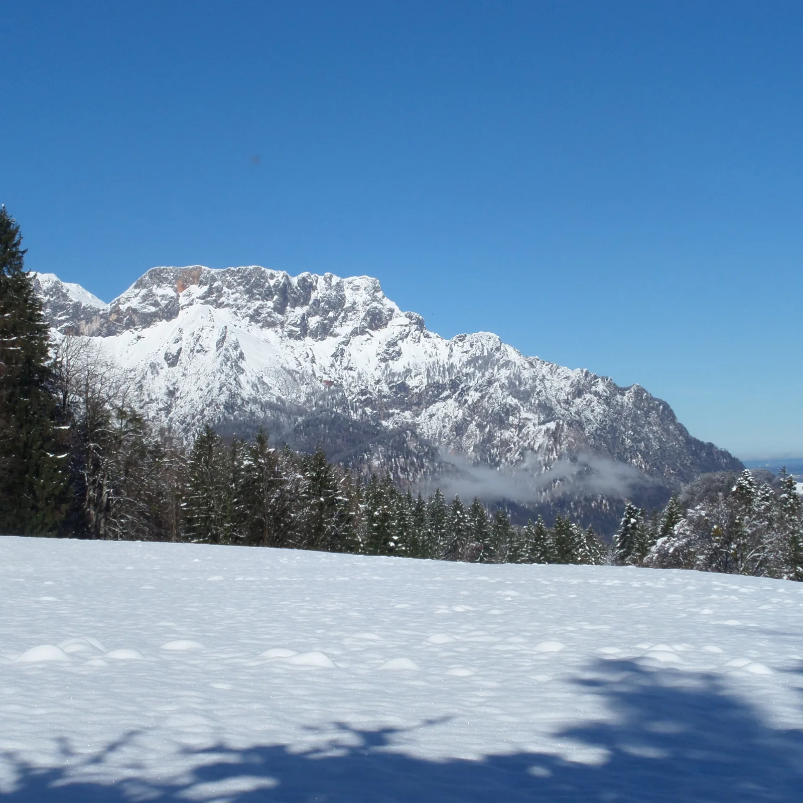 FeWo Untersberg 38m² im Lehnhäusl