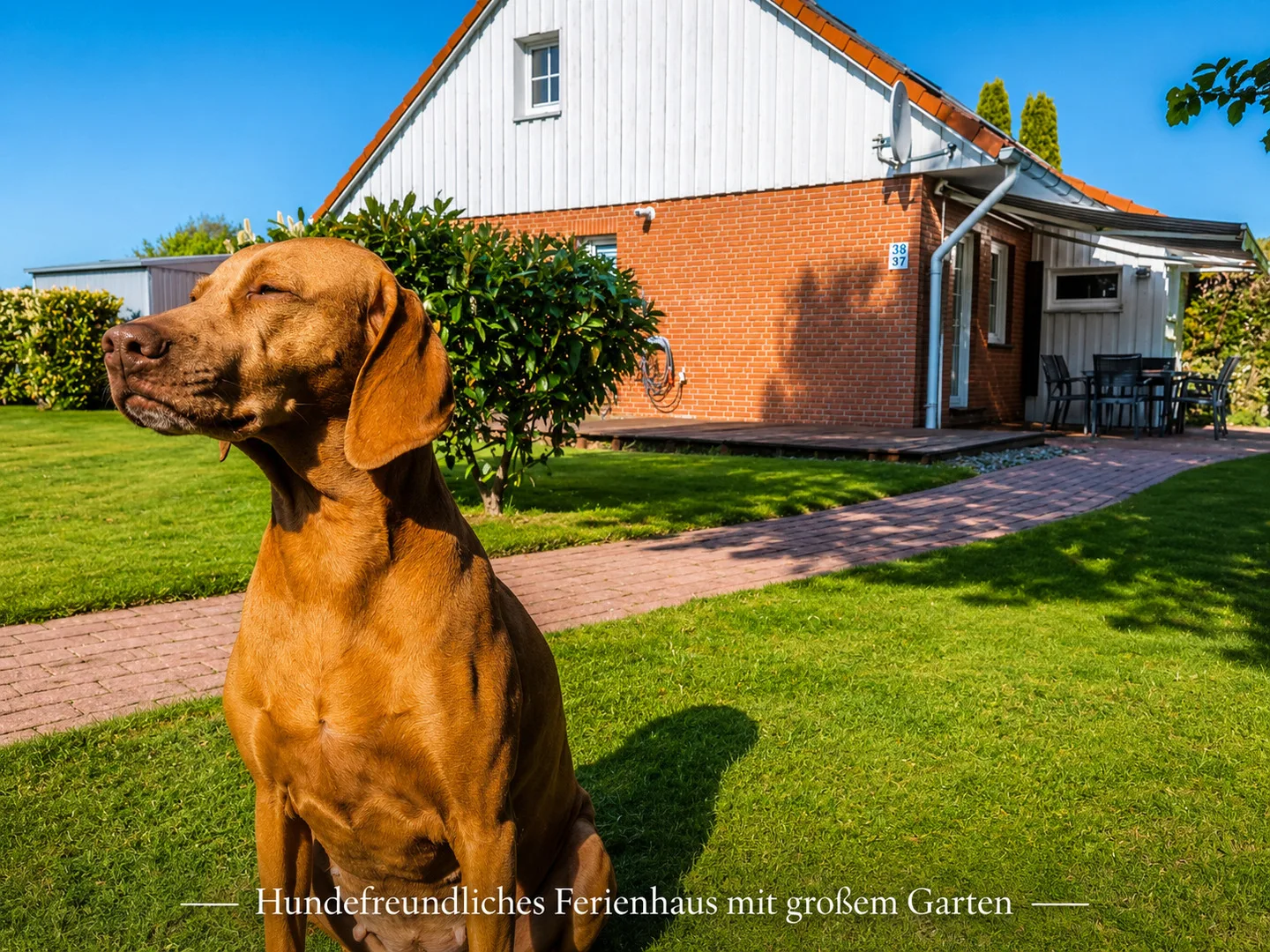 Ostseeferienhaus Usedom Lütow am Achterwasser Hundefreundlich Naturlage