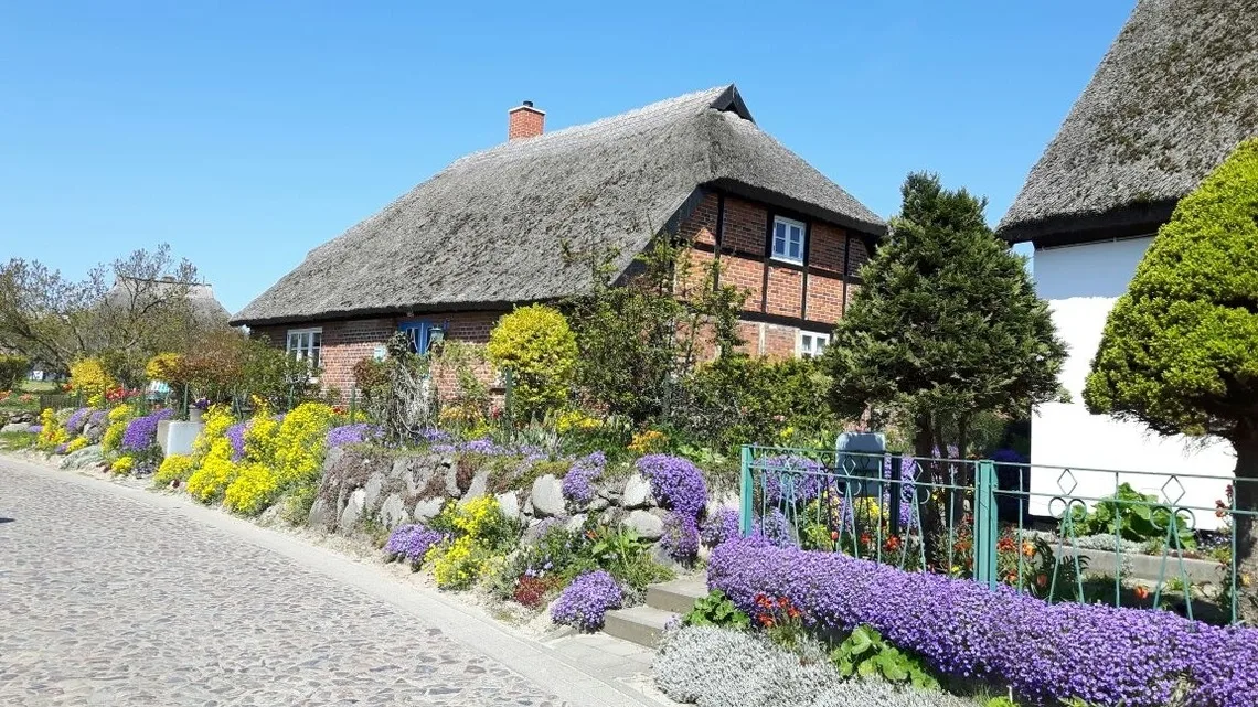 Dünenhaus Südstrand, 4-5 Fußminuten zum Strand Blick über Hügellandschaft zur Ostsee, Schwimmbadnutzung inklusive