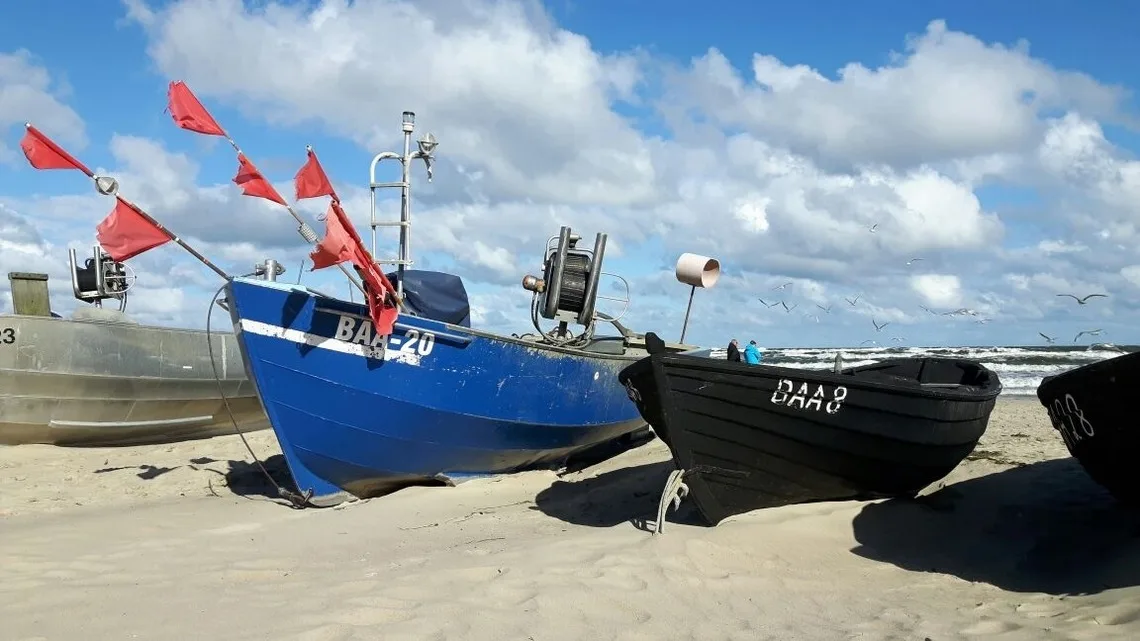 Dünenhaus Südstrand, 4-5 Fußminuten zum Strand Blick über Hügellandschaft zur Ostsee, Schwimmbadnutzung inklusive