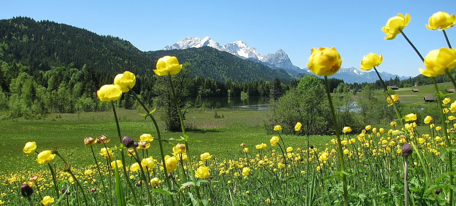 Ferienwohnung KARWENDEL ****