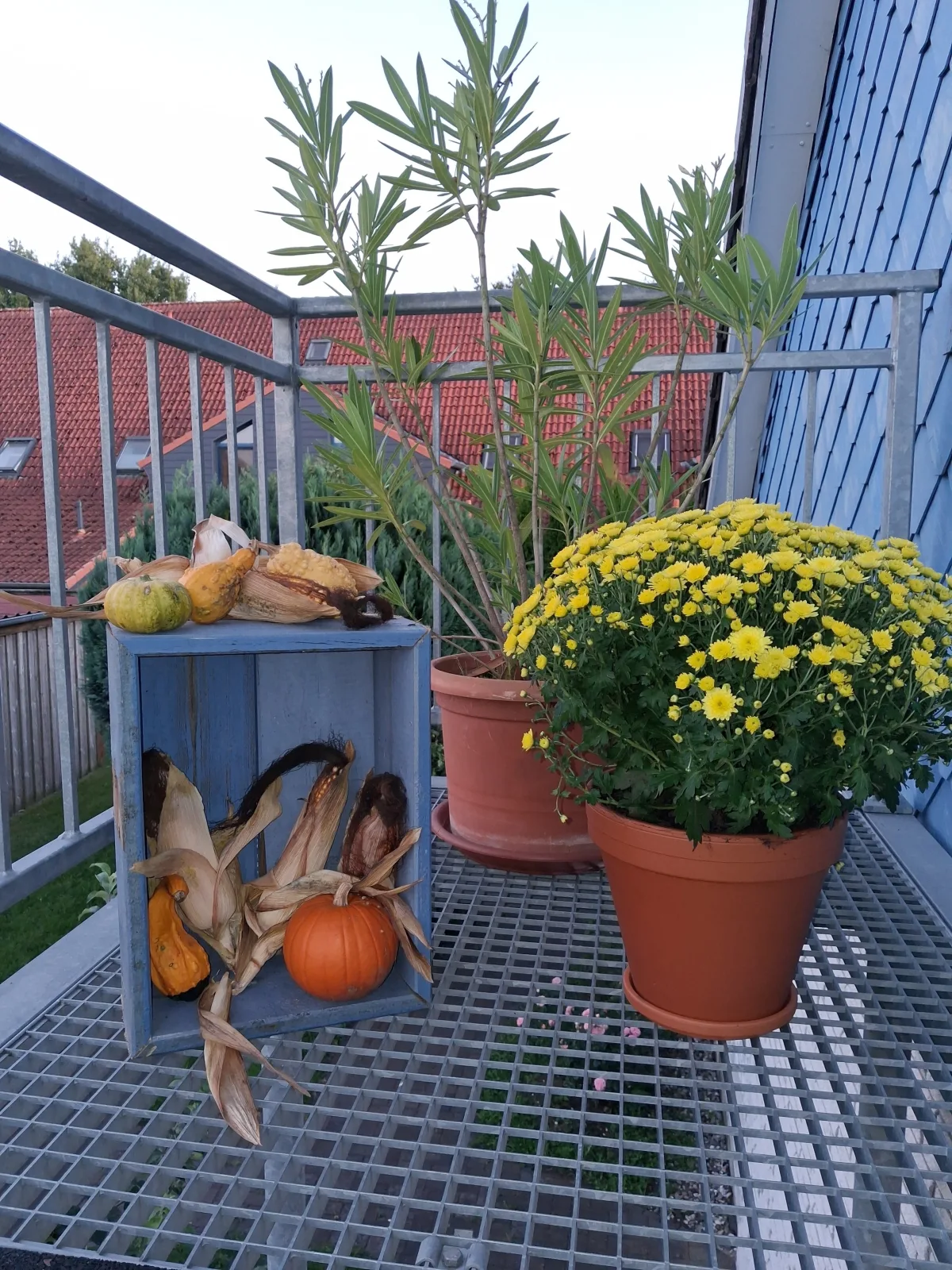 Ferienwohnung Nordwind