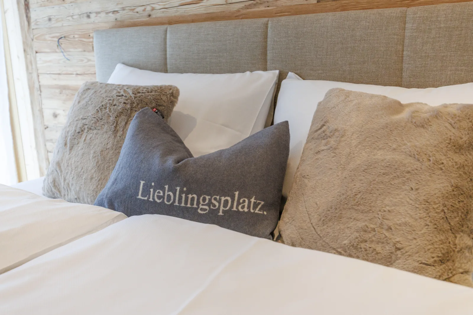 Apartment 2 - Luchs