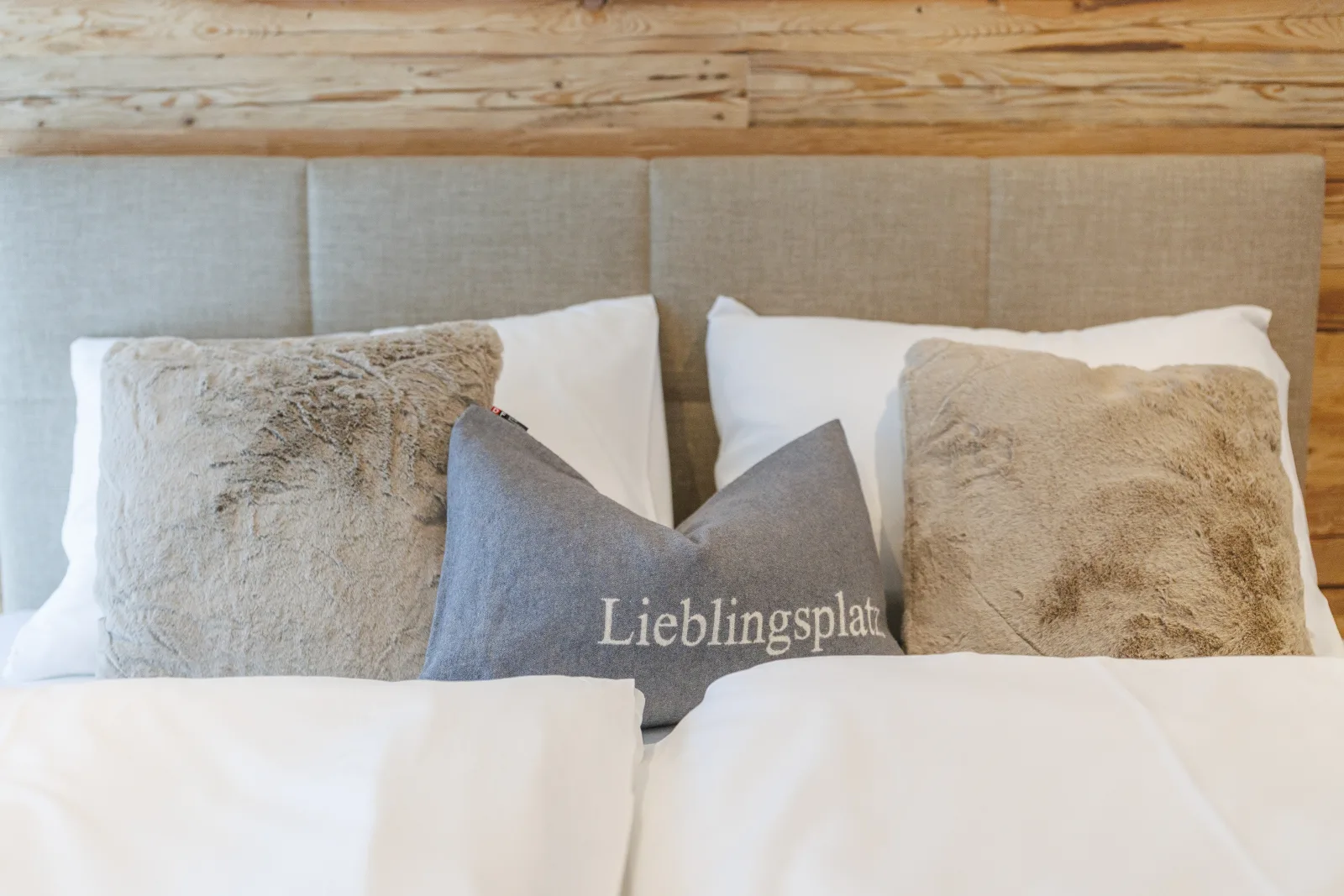 Apartment 2 - Luchs