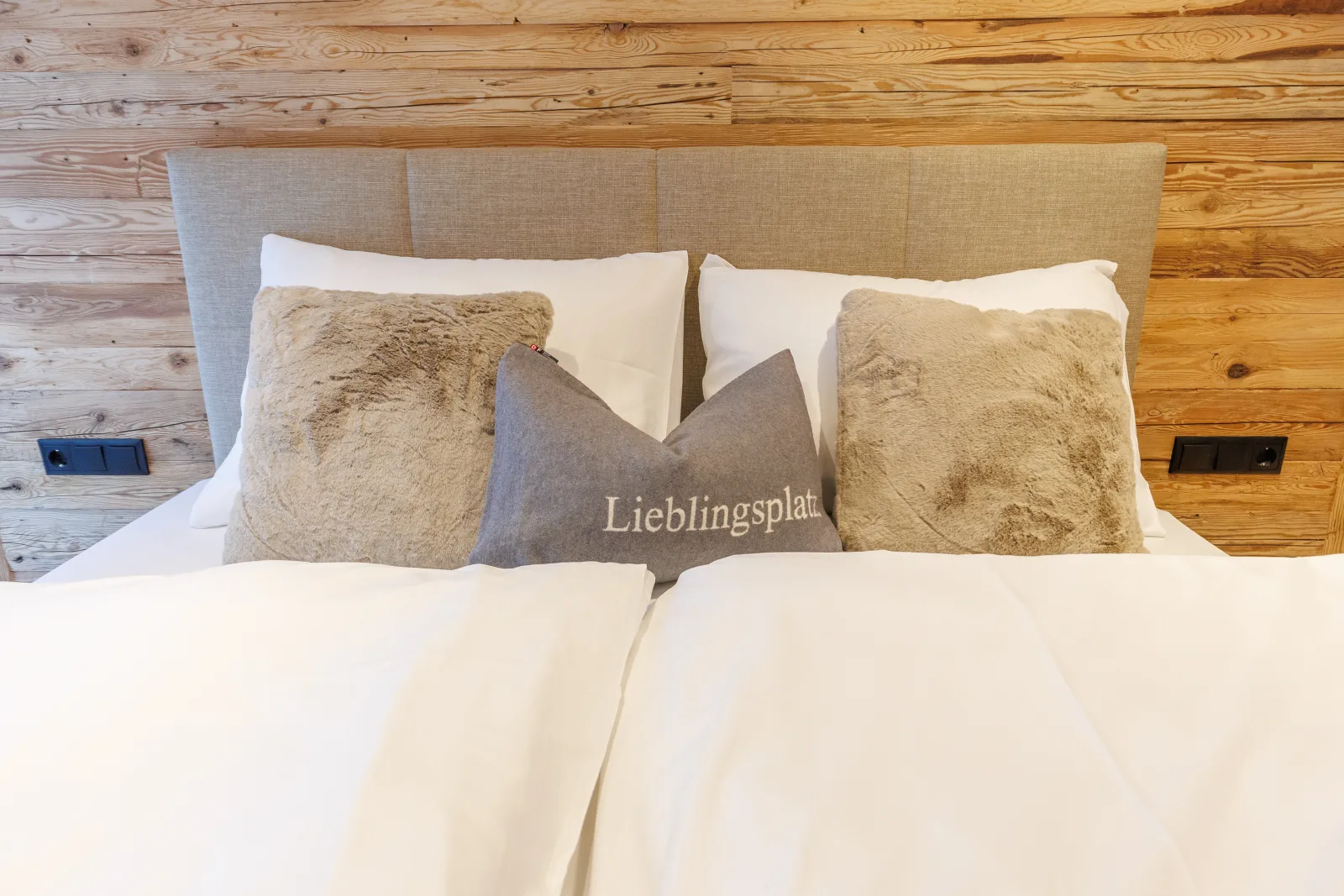 Apartment 2 - Luchs
