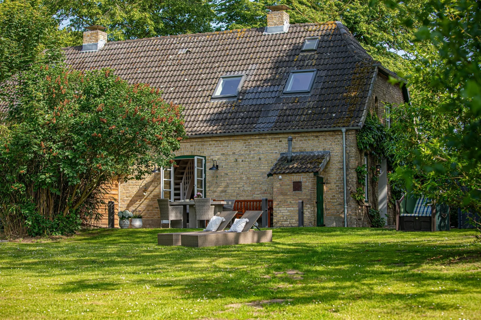Seepferdchen