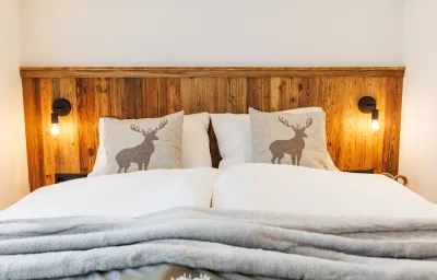 Apartment 8 - Steinbock