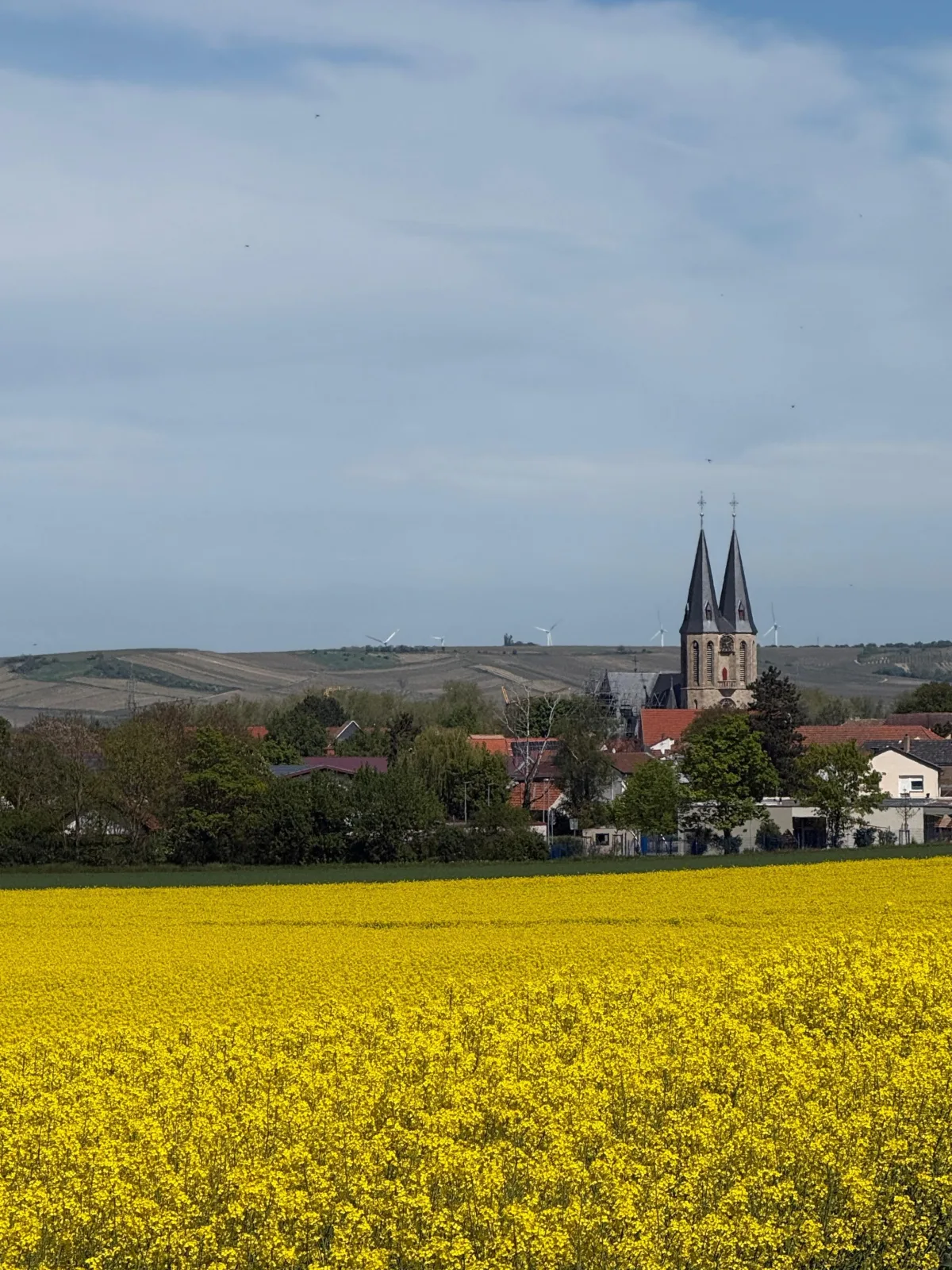 Ferienwohnung am Weinberg