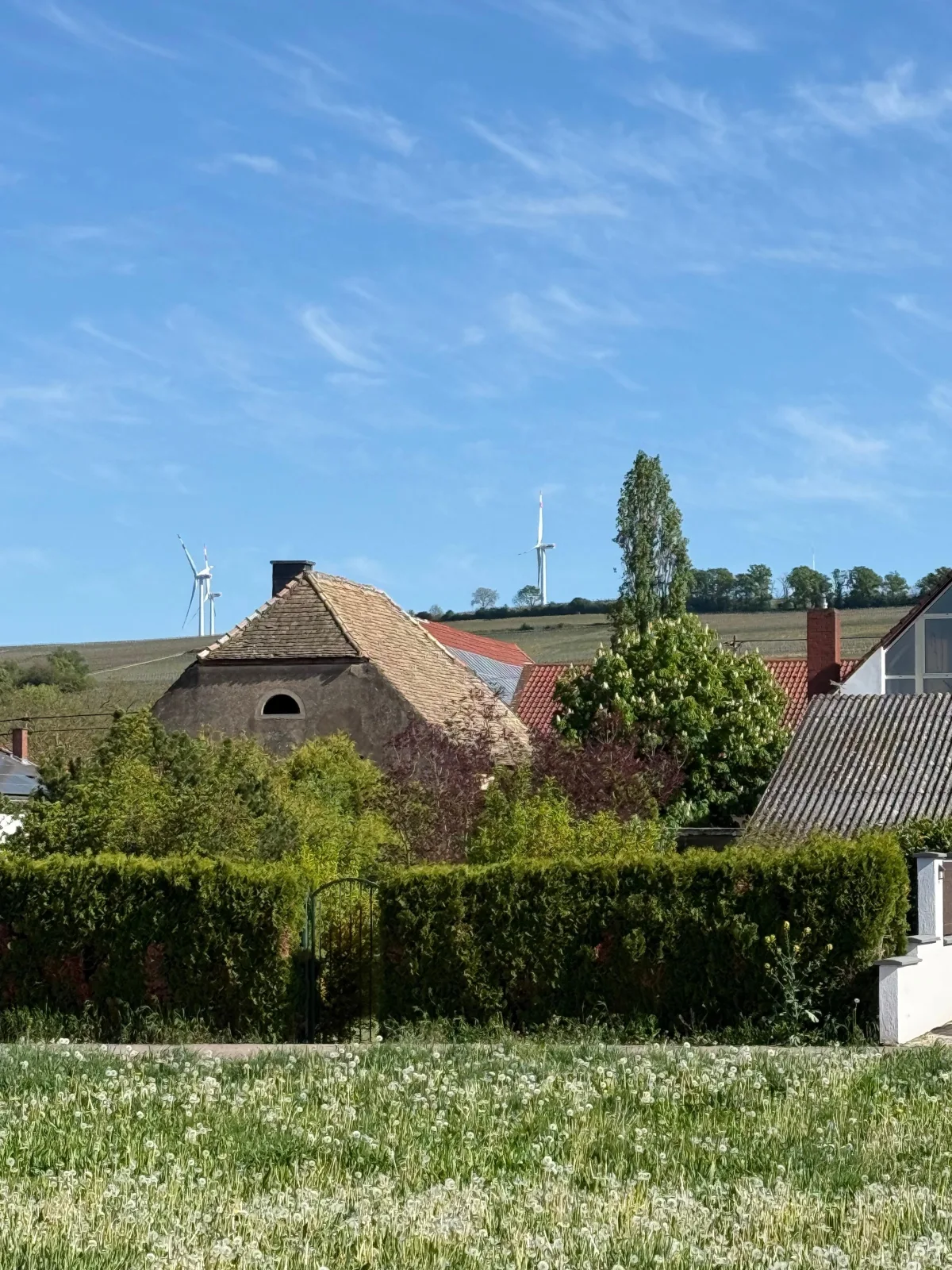 Ferienwohnung am Weinberg