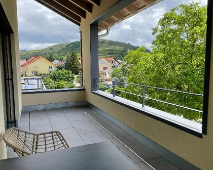 Apartment Rotmilan