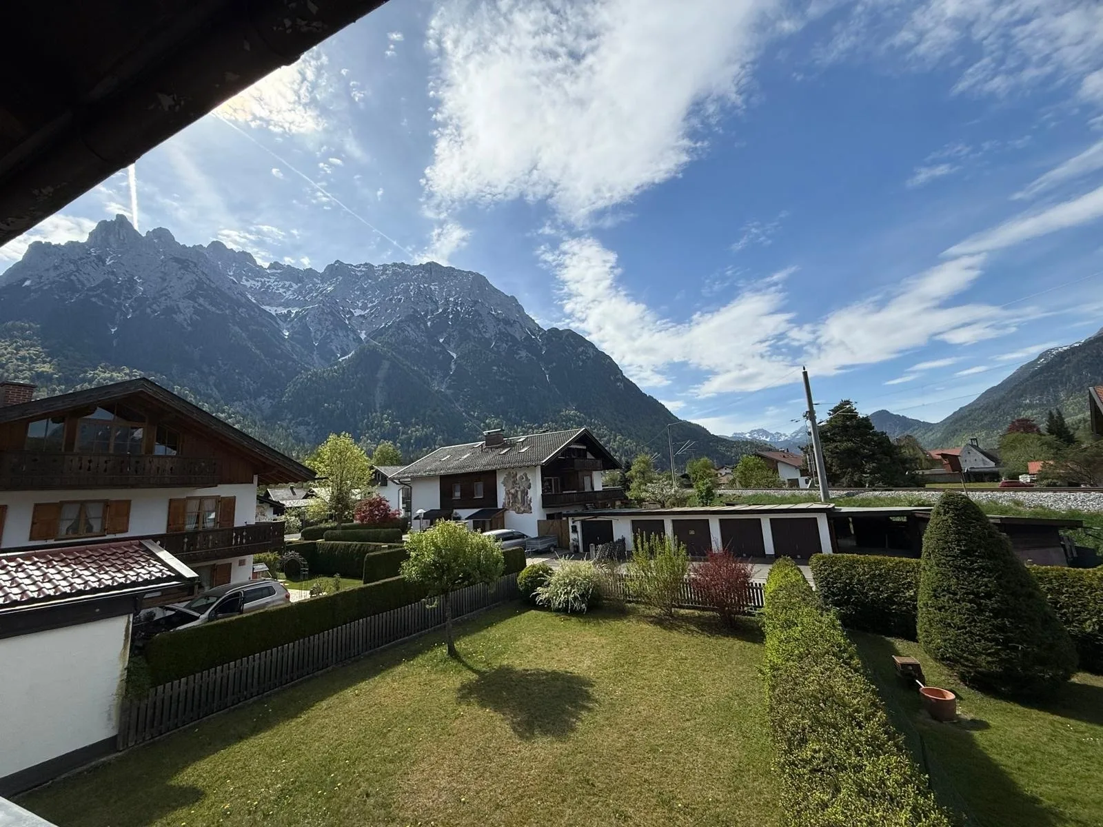 Alpensegler