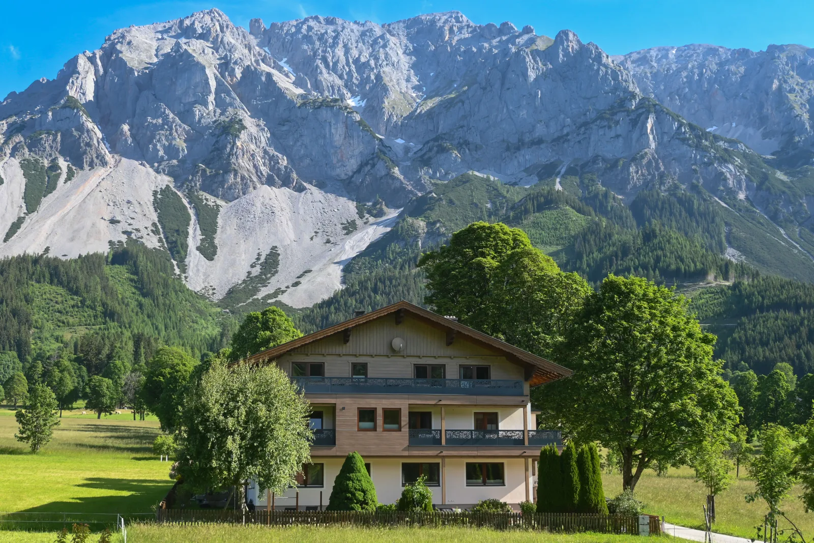 Alpenecho Wohnung Edelweiß