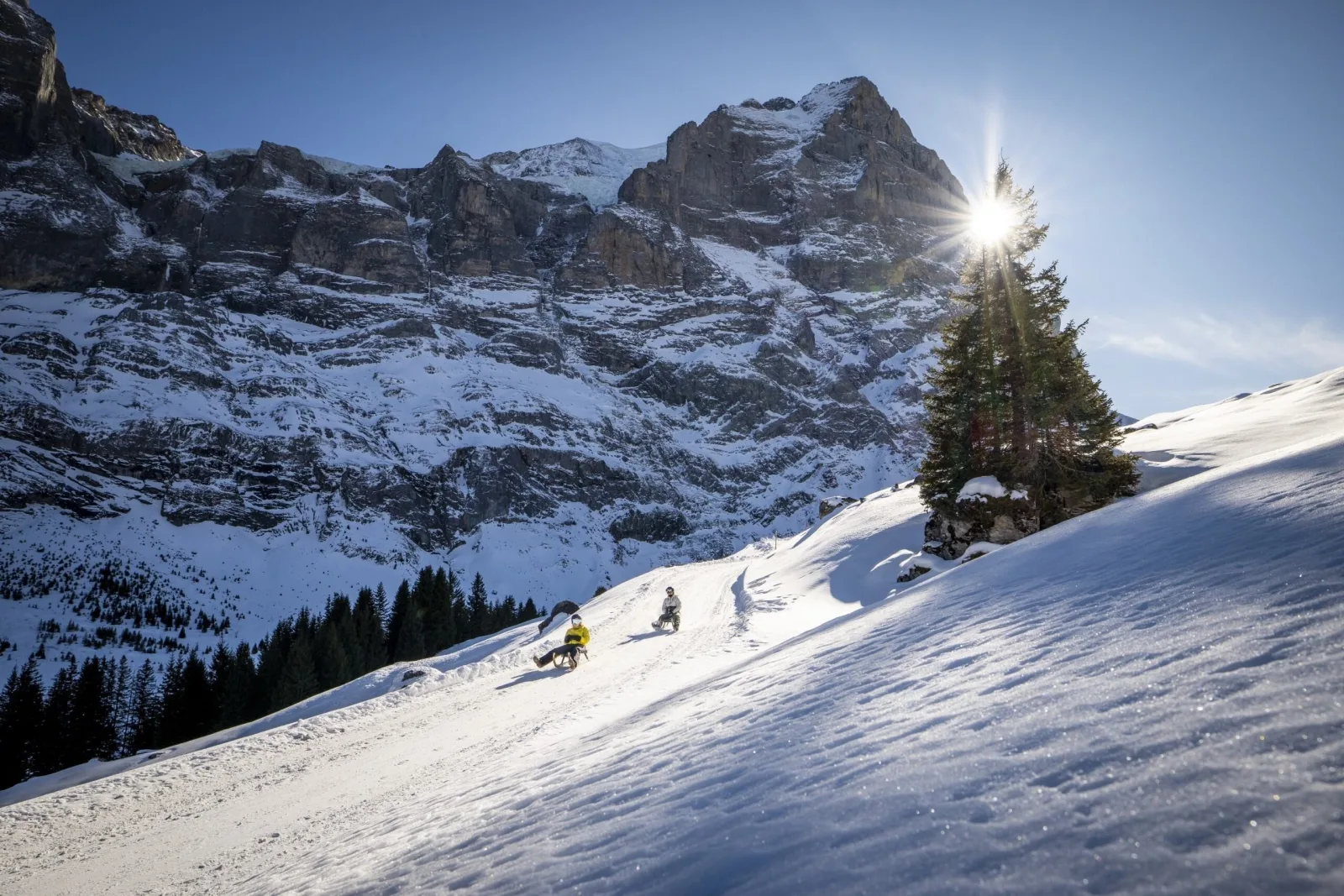 Chalet Bergzauber, Ferienwohnung Rosenlaui