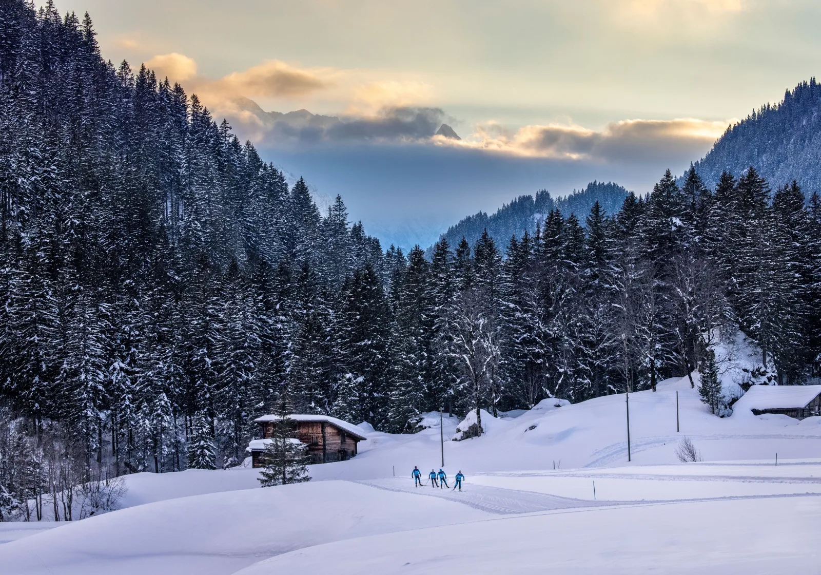 Chalet Bergzauber, Ferienwohnung Rosenlaui