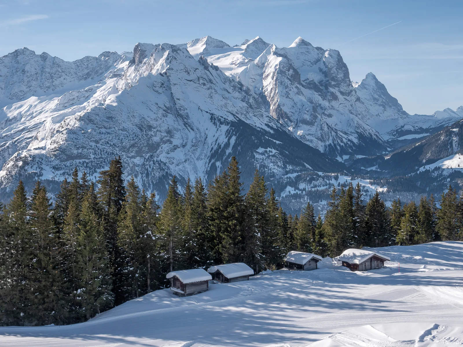 Chalet Bergzauber, Ferienwohnung Rosenlaui