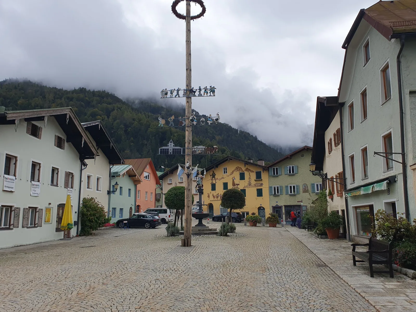 Alpenschwänchen Luxus - Mozartschwänchen