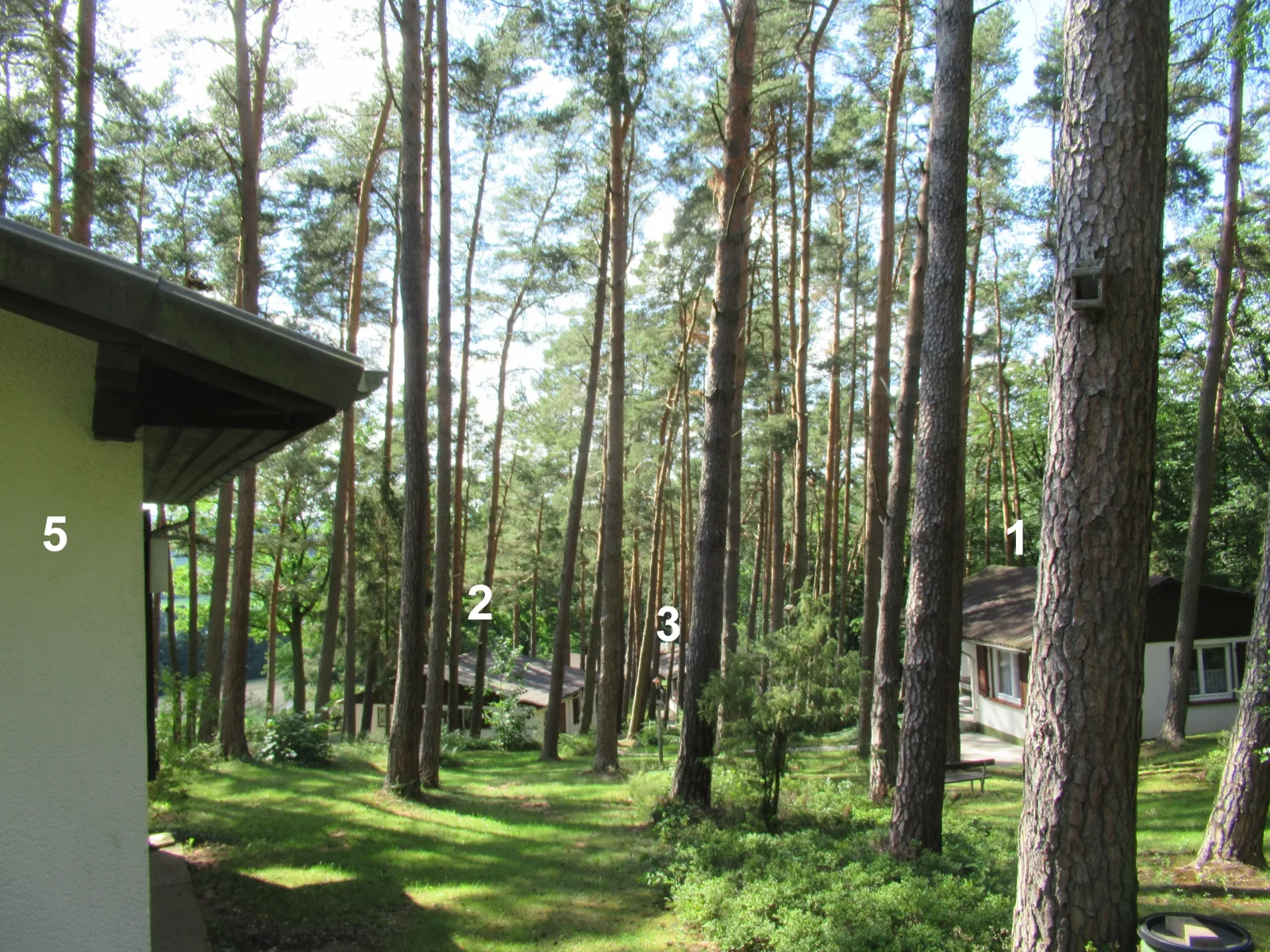 Feriendorf Mengshausen 5