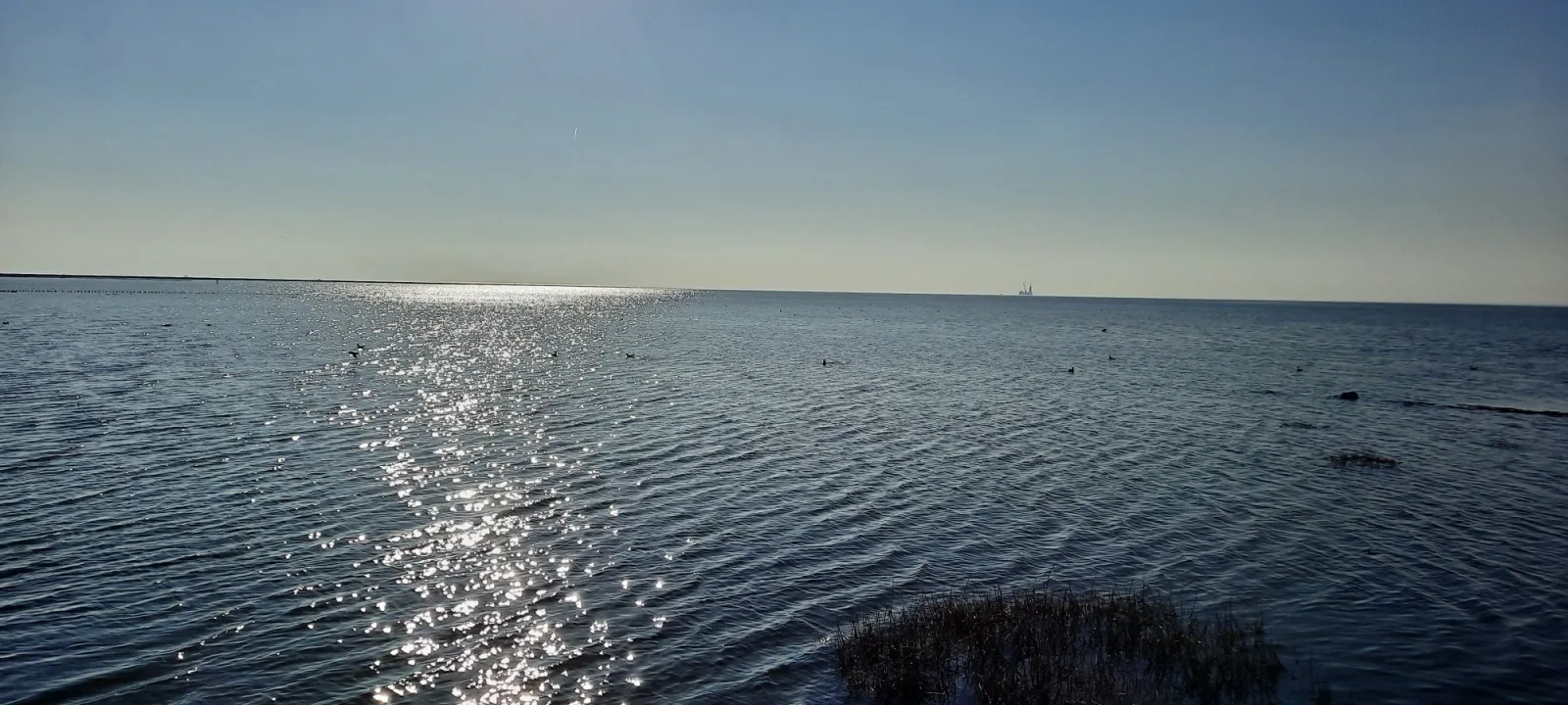 Ferienwohnung Seepferd im Haus Seewind nur 800 Meter von der Nordsee entfernt auf 2.800 m² Grundstück