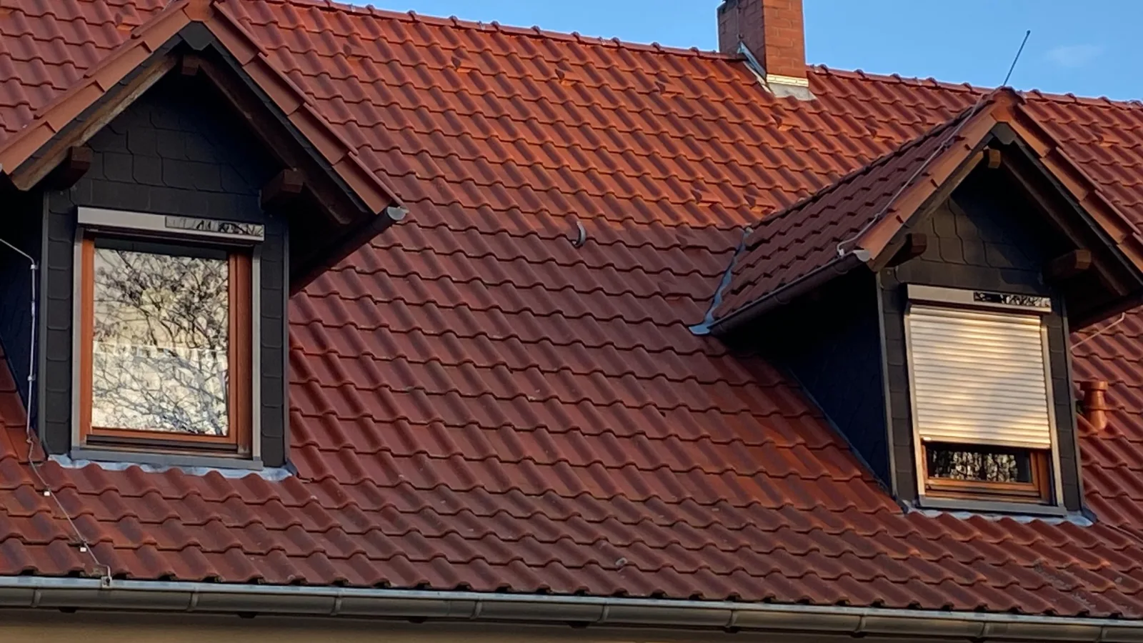 Wohnung im Grünen, Haus Cara, 120 m², 4 Zi, Kü, Bad