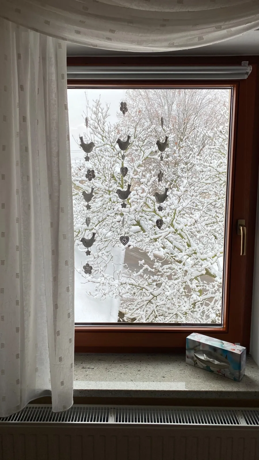 Wohnung im Grünen, Haus Cara, 120 m², 4 Zi, Kü, Bad