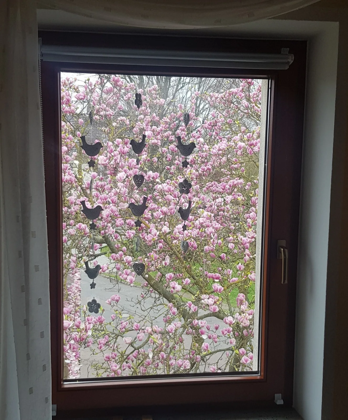 Wohnung im Grünen, Haus Cara, 120 m², 4 Zi, Kü, Bad