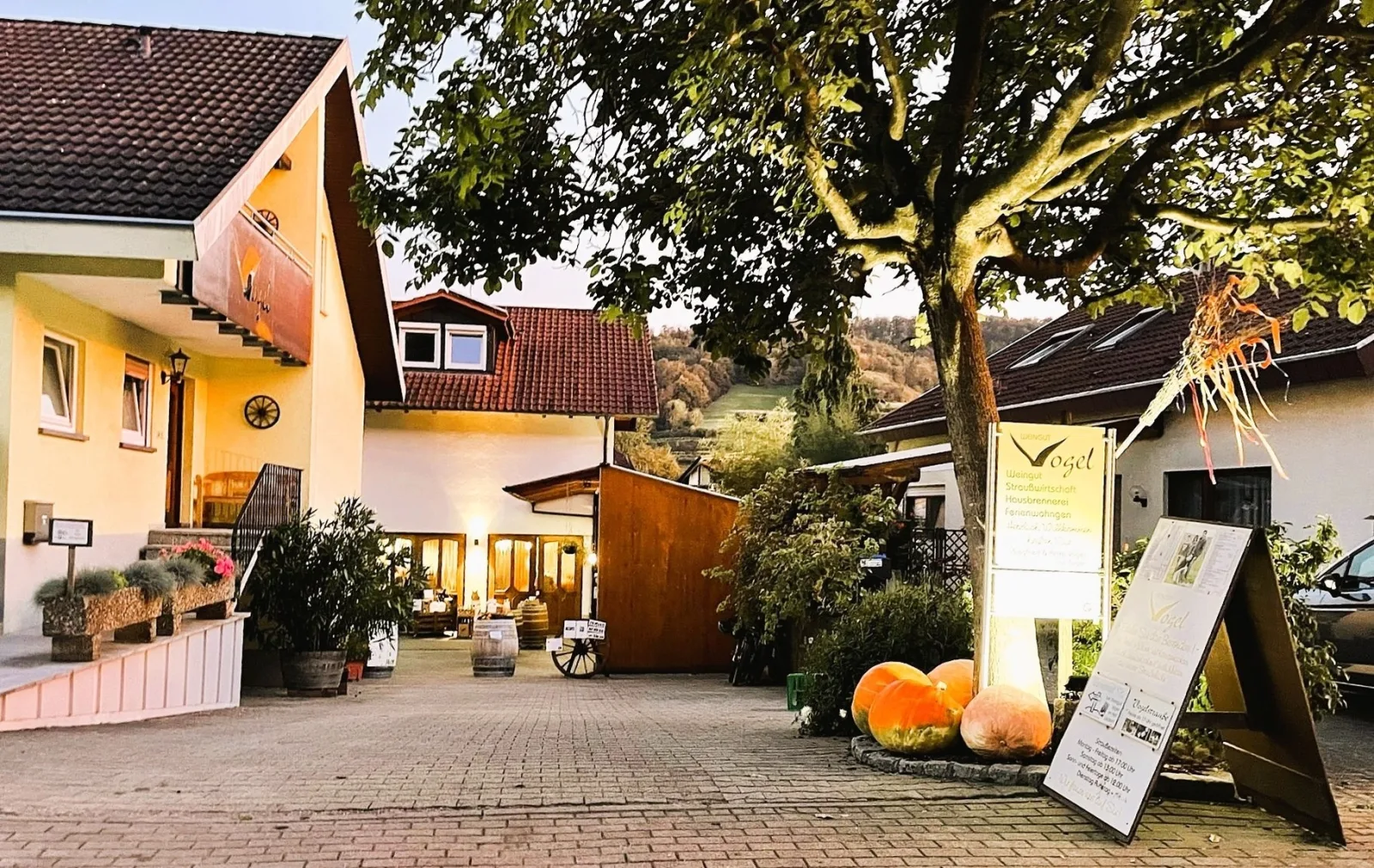 Apartment Bienenfresser