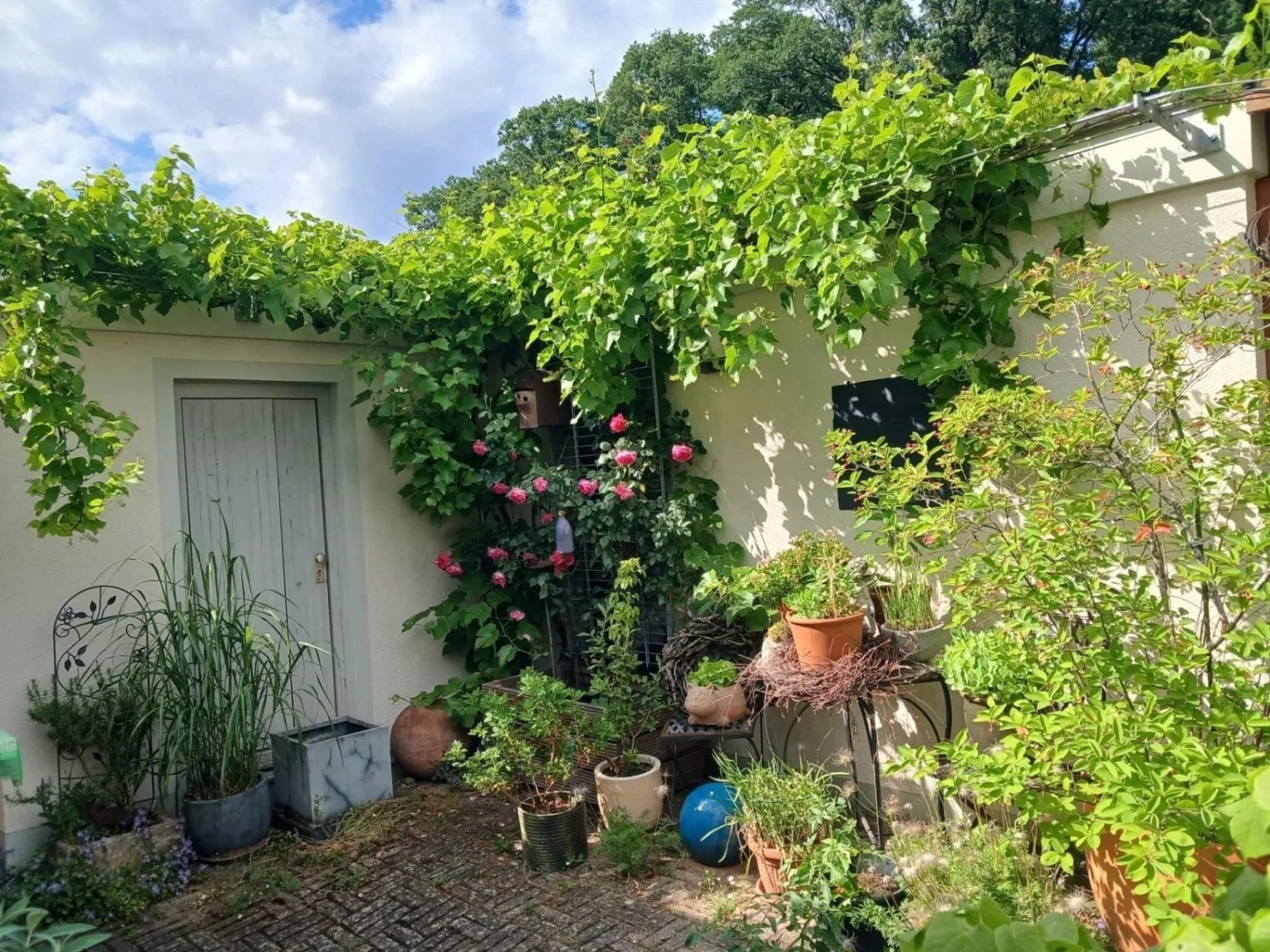 FEWO-Sonnenwald