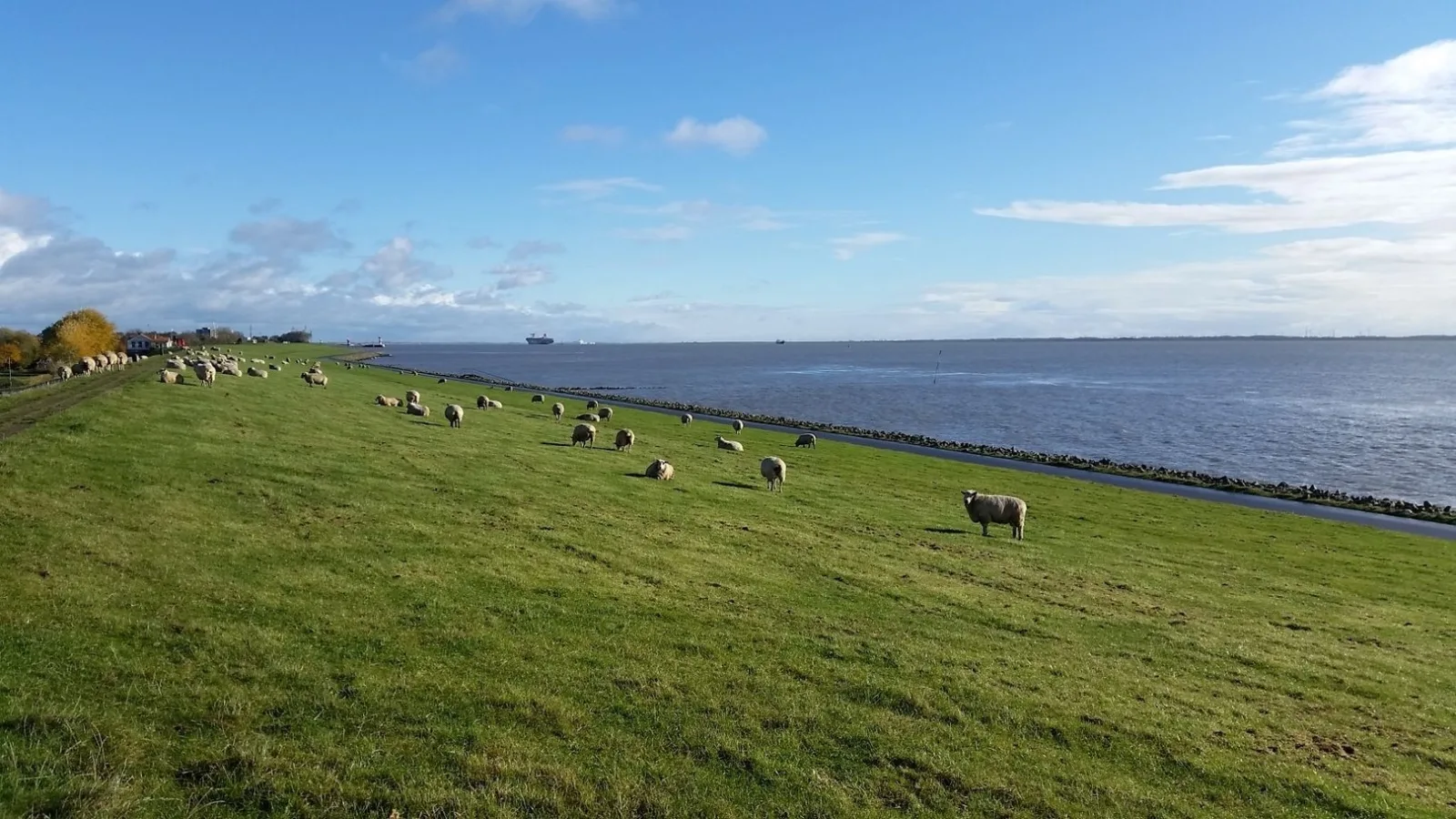 Nordstrand-Idyll 3