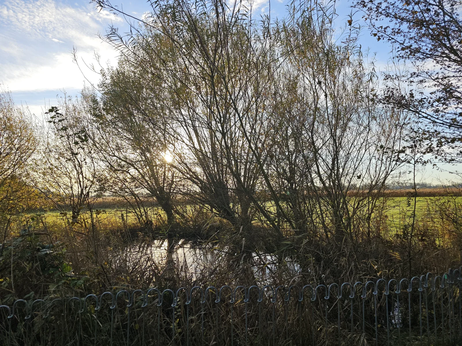 Nordstrand-Idyll 3