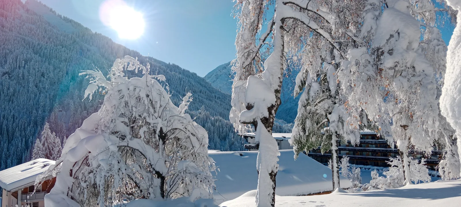 Ferienwohnung Widderstein im Gästehaus Büchele Kleinwalsertal