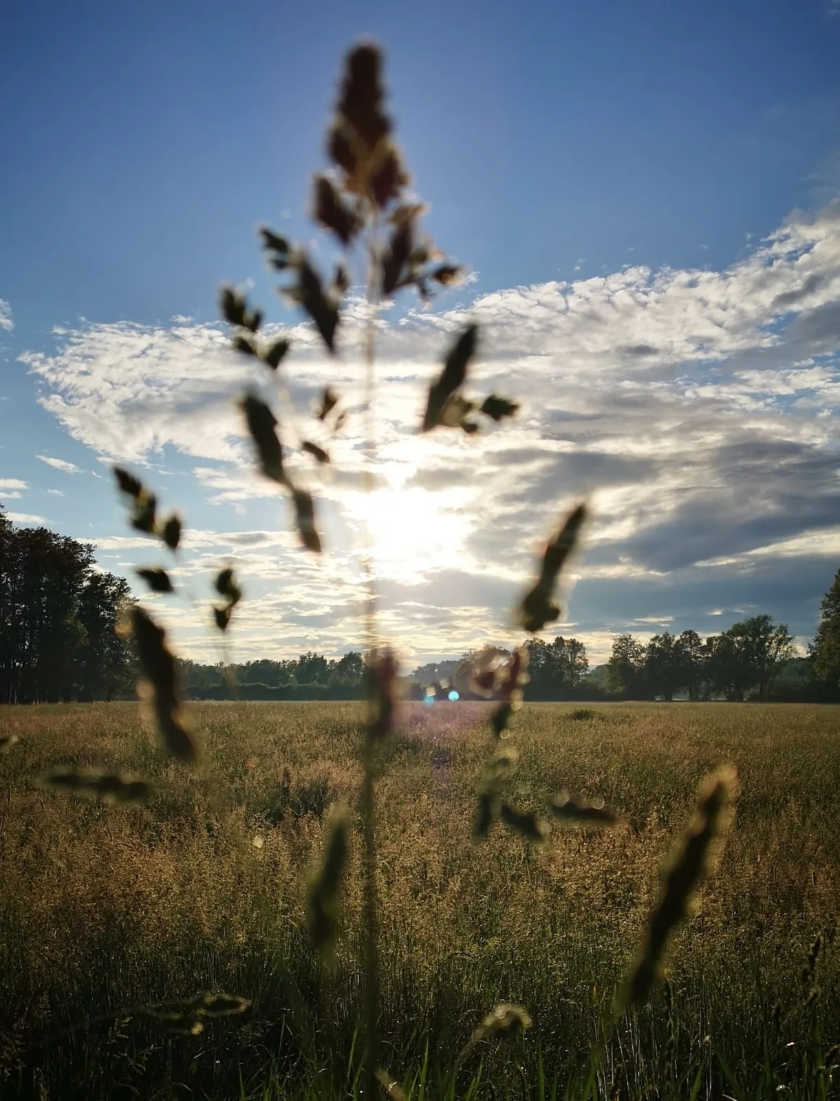 Spreewaldhof Schupan - Fewo Spreewaldgurke