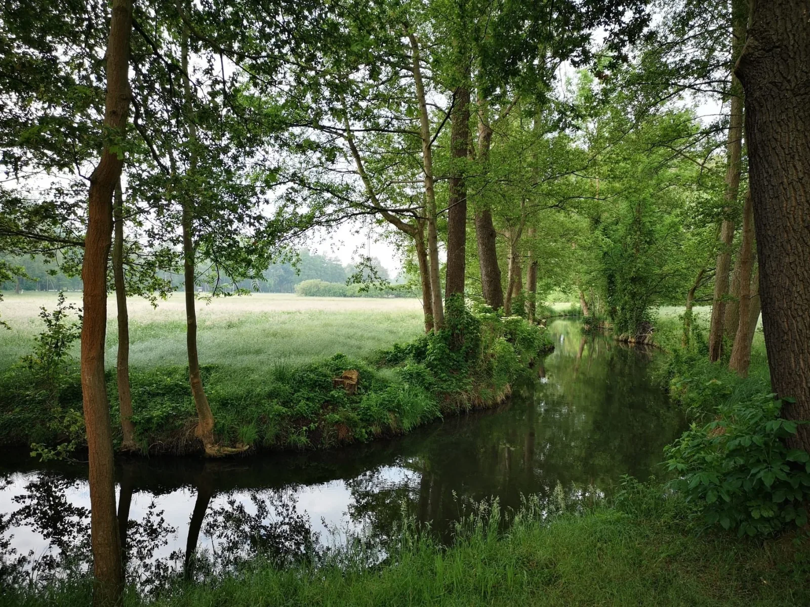 Spreewaldhof Schupan - Fewo Spreewaldgurke