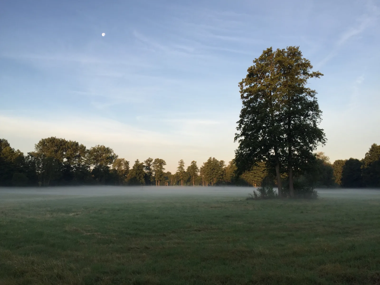 Spreewaldhof Schupan - Fewo Spreewaldgurke
