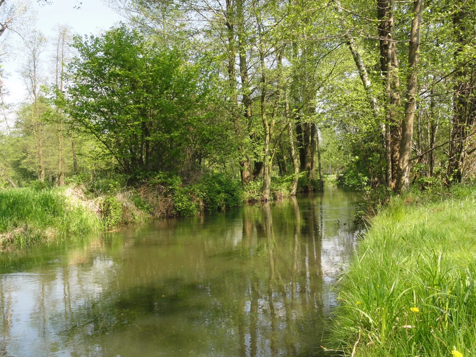 Spreewaldhof Schupan - Fewo Spreewaldgurke